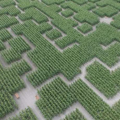 Pop Corn Labyrinthe à Nantes